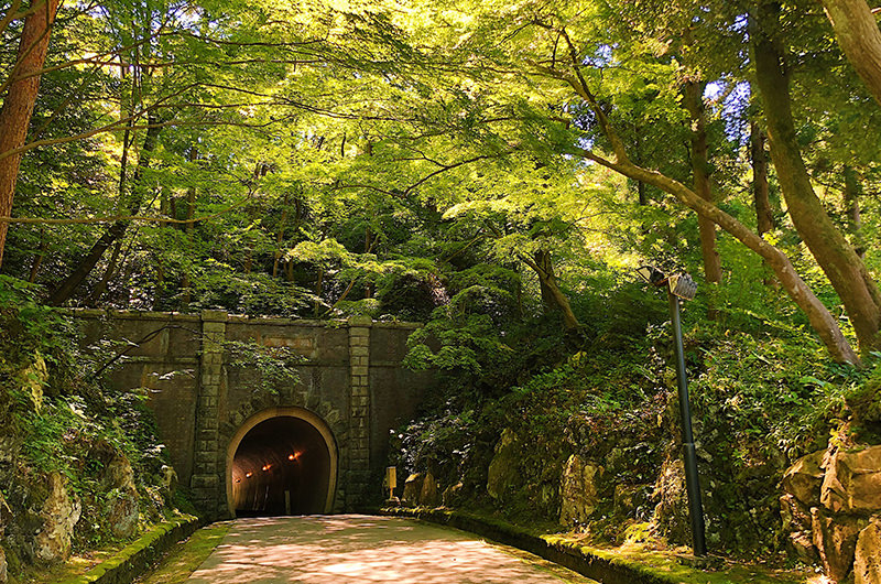 弥彦公園