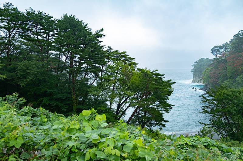 浄土ヶ浜ビジターセンター停留所横からの眺め