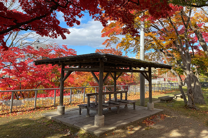 盛岡城跡公園