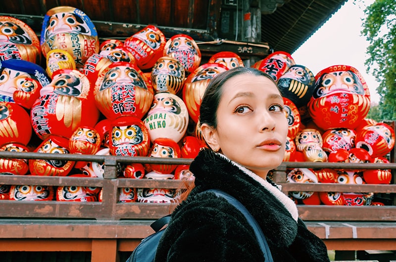 著者　少林山達磨寺