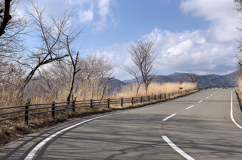 山中湖パノラマ台付近からの眺望