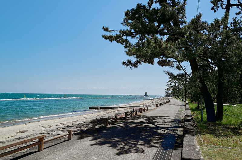 雨晴海岸の遊歩道