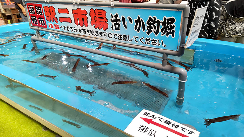 活いか釣堀