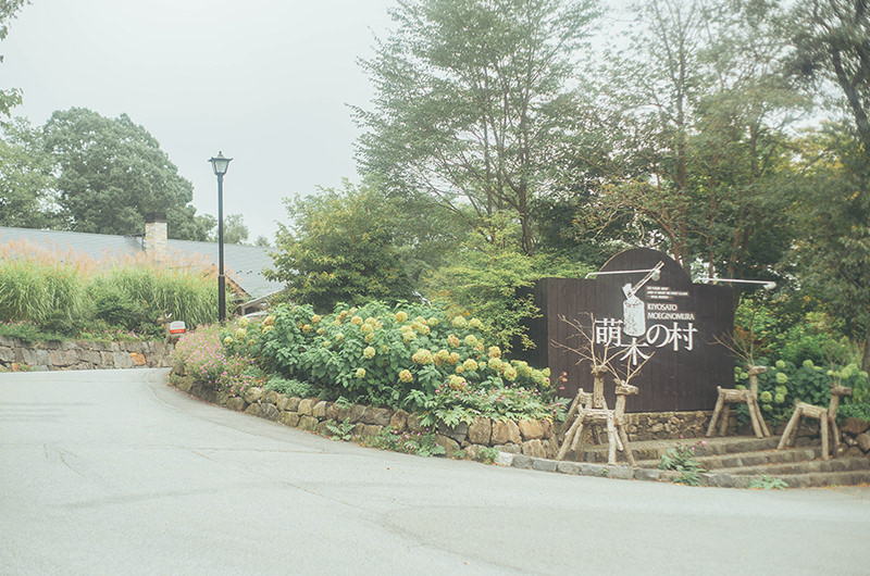 萌木の村