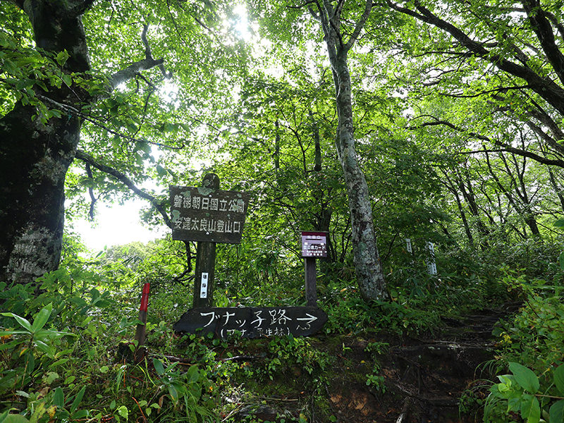 ブナッ子路