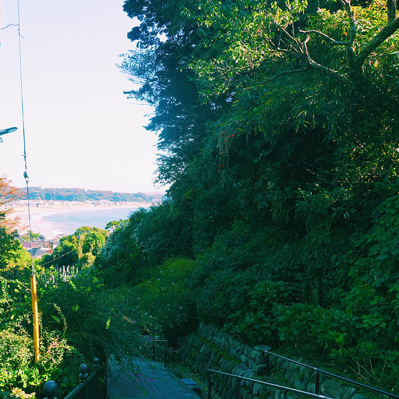 境内からの景色