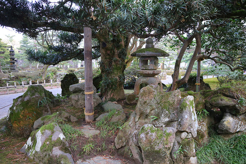 龍石