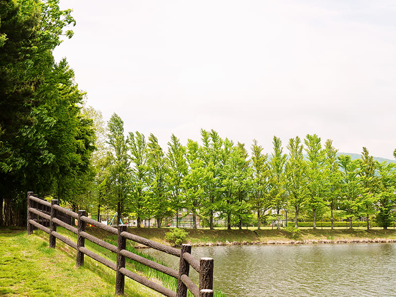 矢ケ崎公園