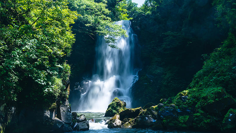 奈曽の白滝