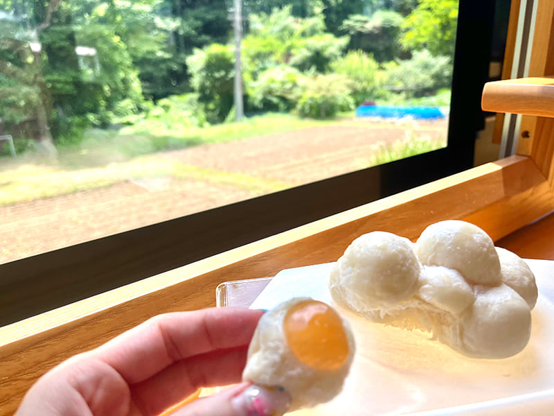 雲パン