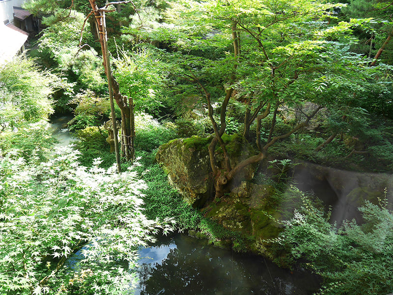 客室からも見える日本庭園
