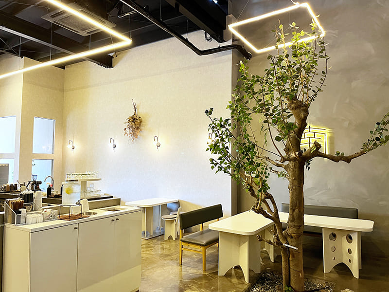 cafe NAMS