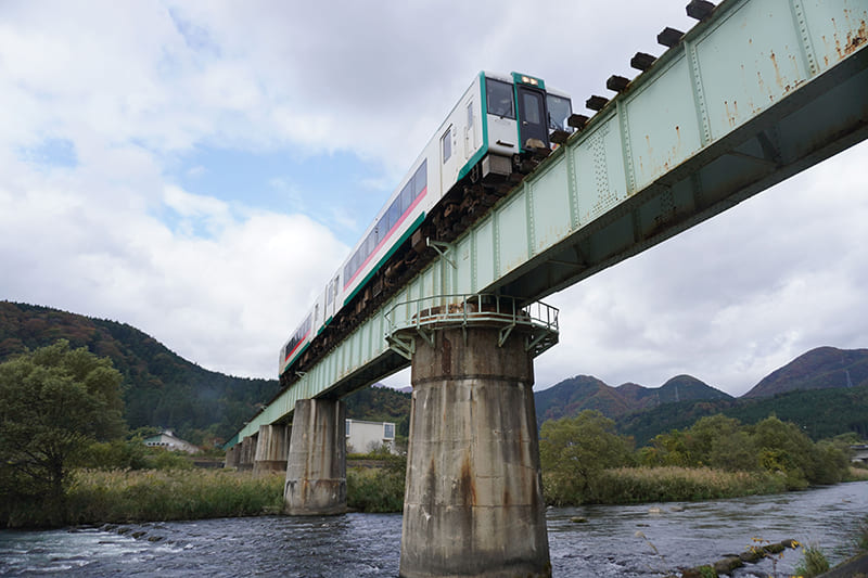 キハ110系気動車・普通列車、陸羽東線