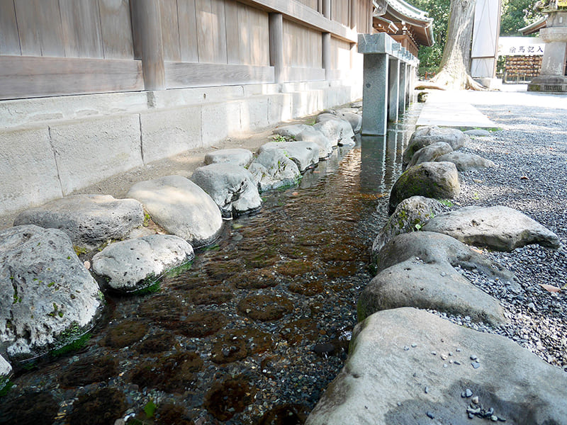 三嶋大社　手水