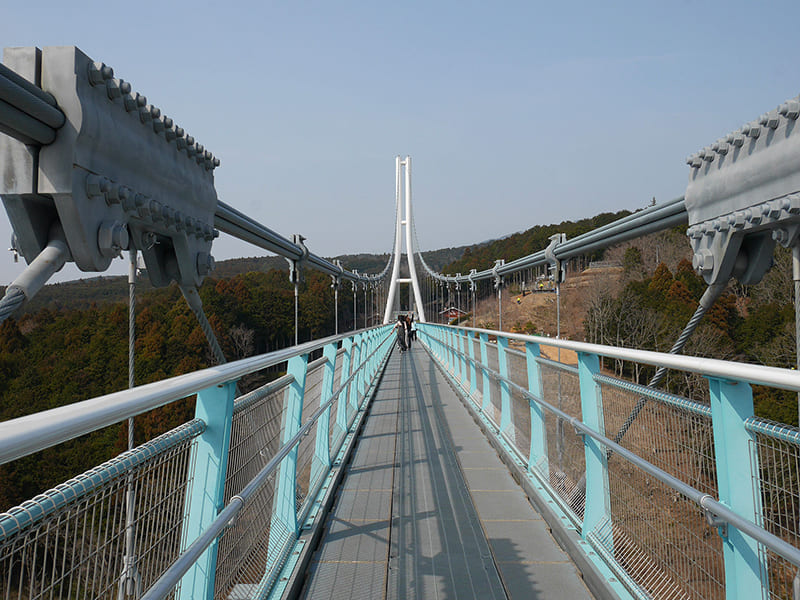 三島スカイウォーク　吊橋