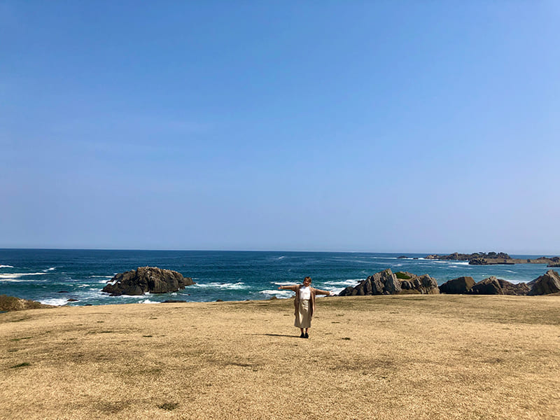 種差海岸