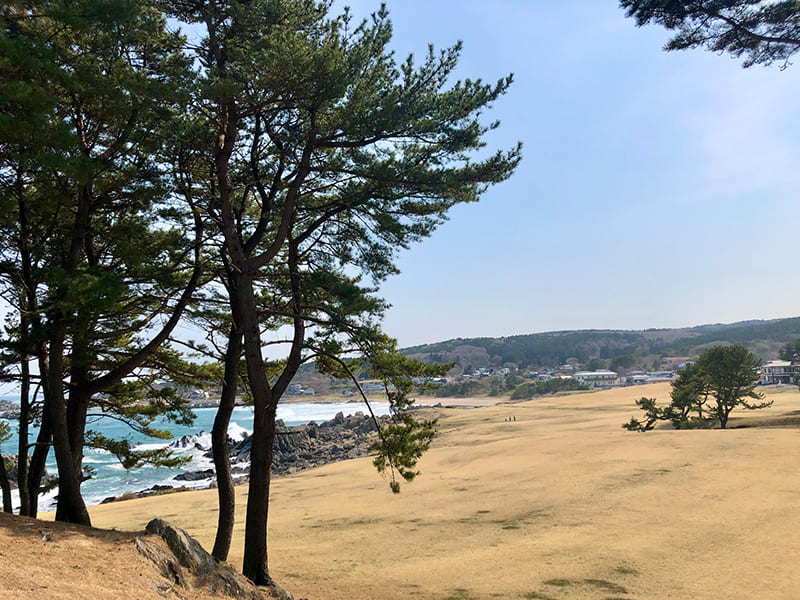 種差海岸