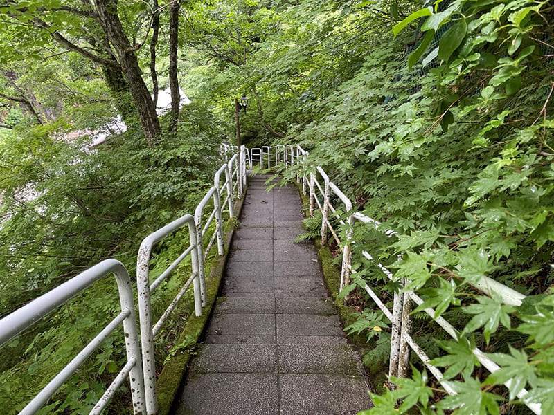 滝の湯・大湯・疝気の湯へ向かう道
