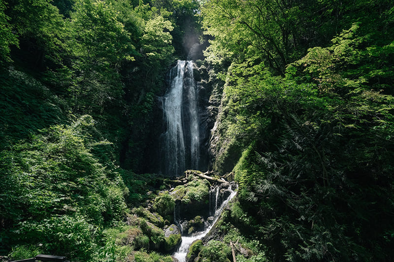 回顧の滝