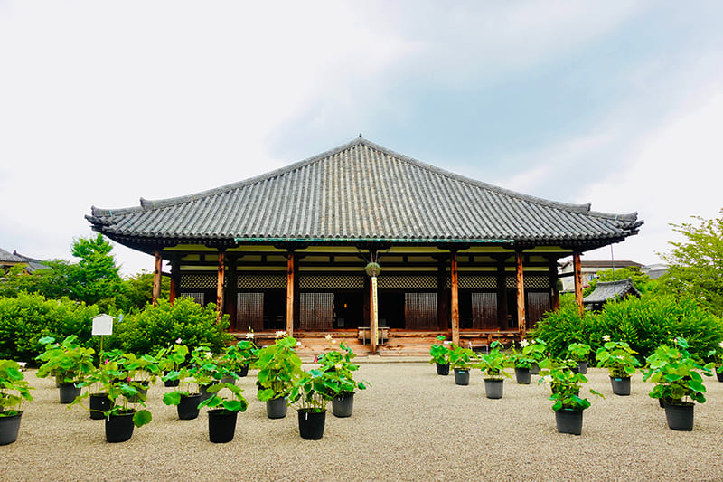 元興寺　極楽堂
