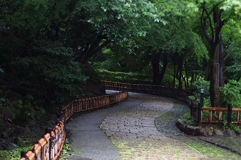 浜松城公園