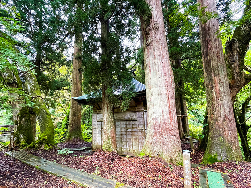 栃尾又薬師堂
