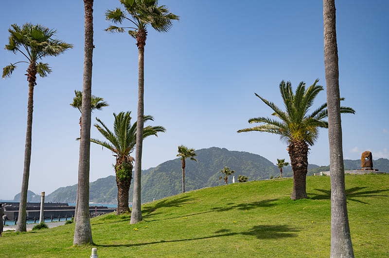 広野海岸公園