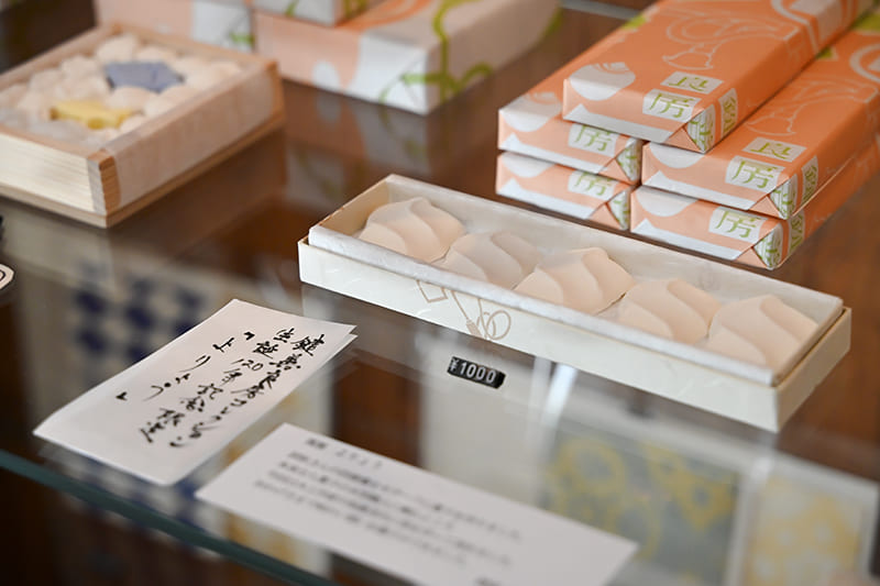 museum shop Zplus