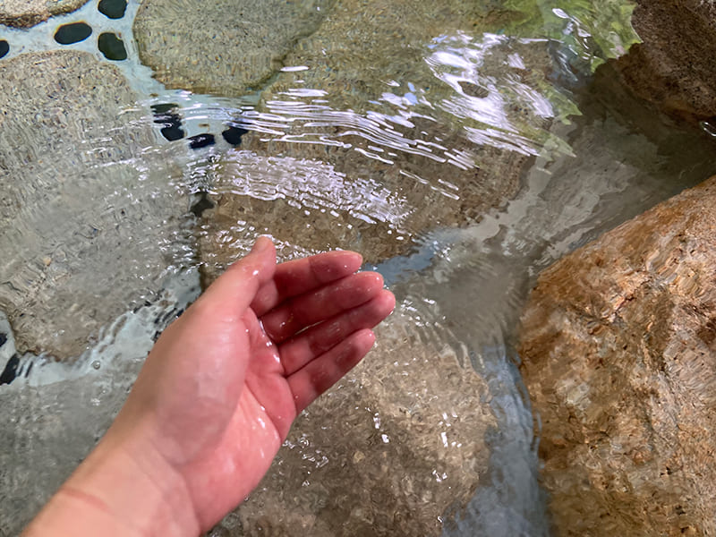 風雅の宿 長生館　温泉
