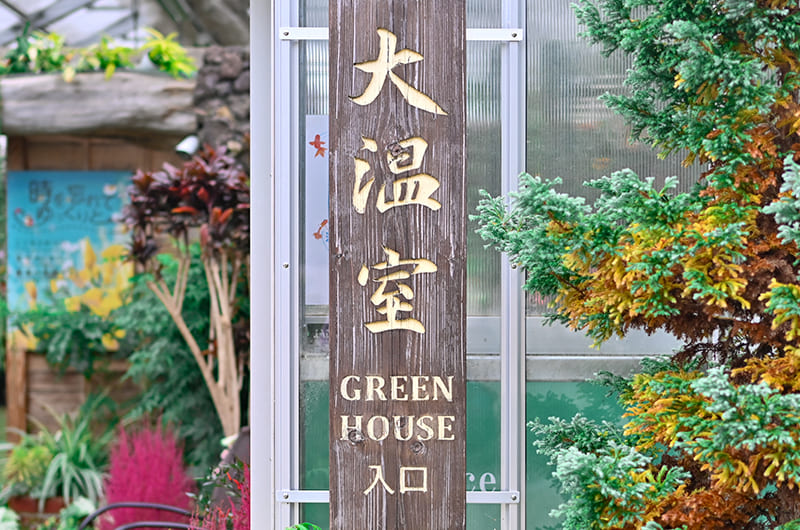 ハーブ庭園旅日記 富士河口湖庭園　大温室