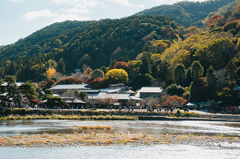 桂川河川敷