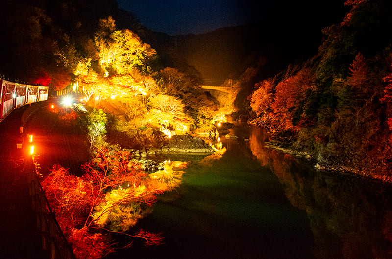 ライトアップ（写真提供：嵯峨野観光鉄道）