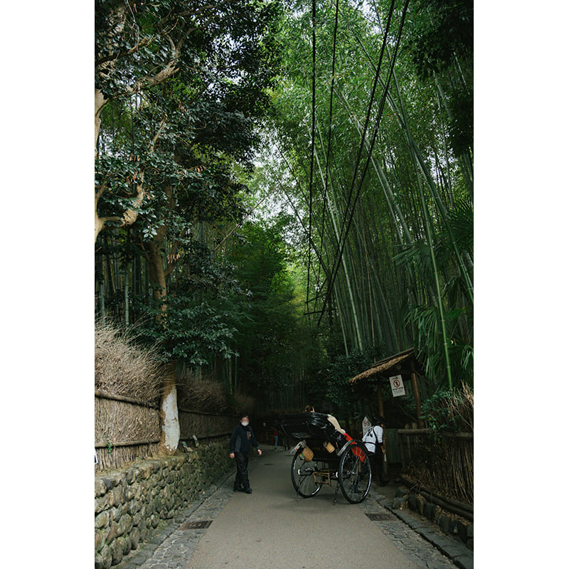 竹林