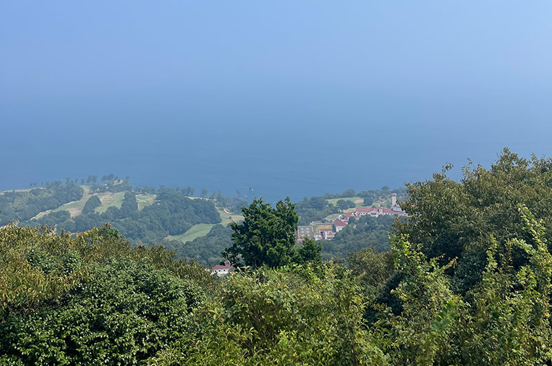 木製の遊歩道からの眺め