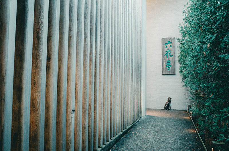 六花亭 五稜郭店