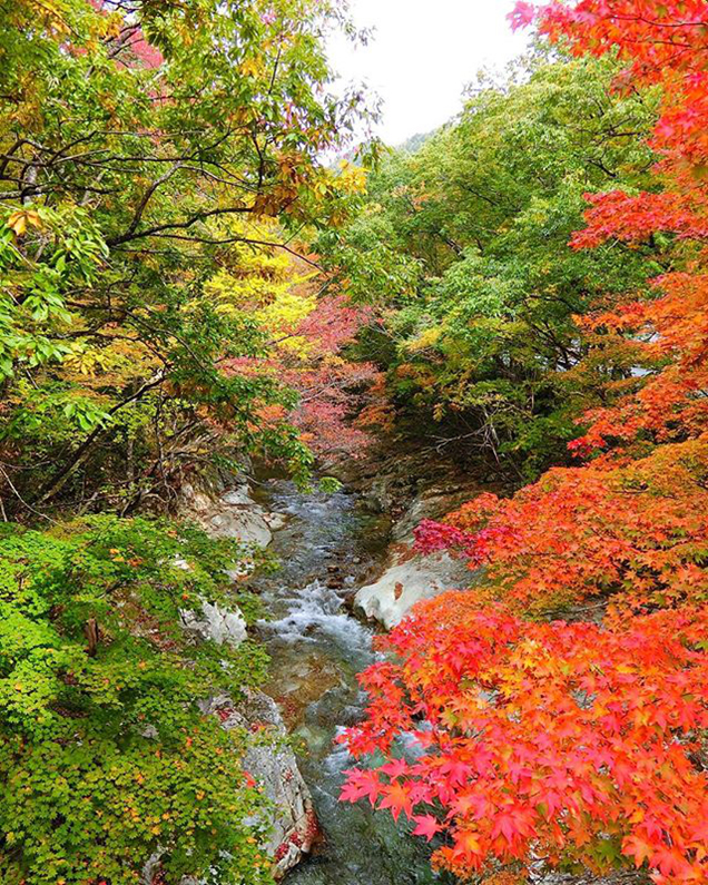 男鹿高原駅近くの紅葉