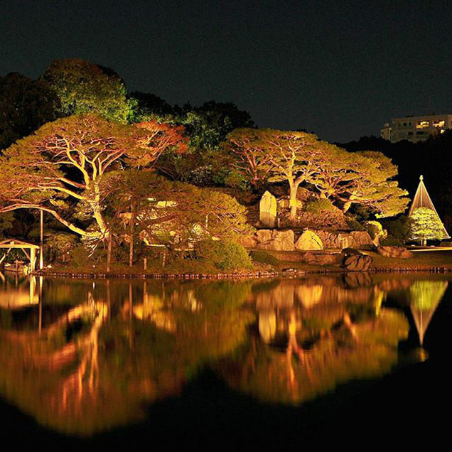 六義園のライトアップ