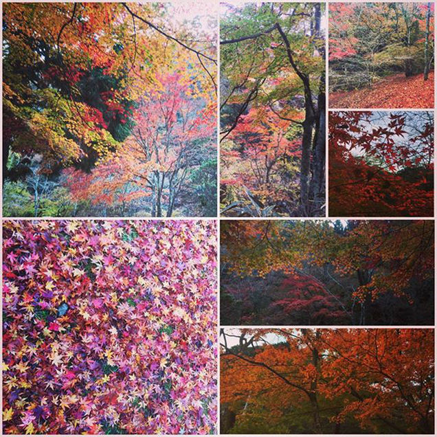 花貫渓谷