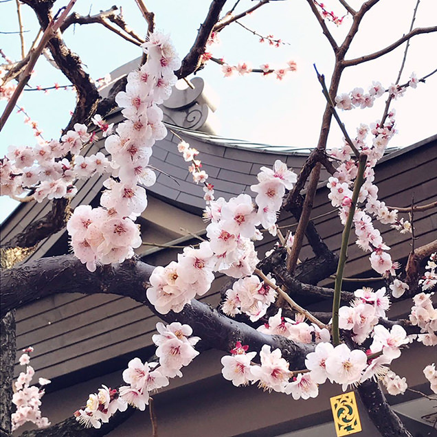 湯島天神