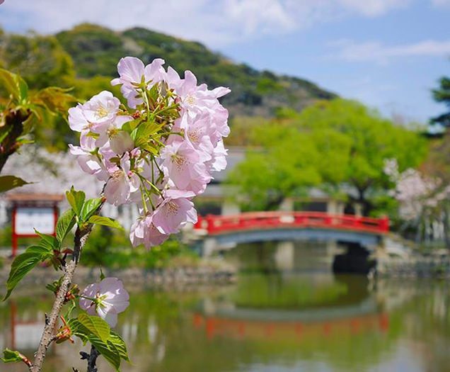 鶴岡八幡宮