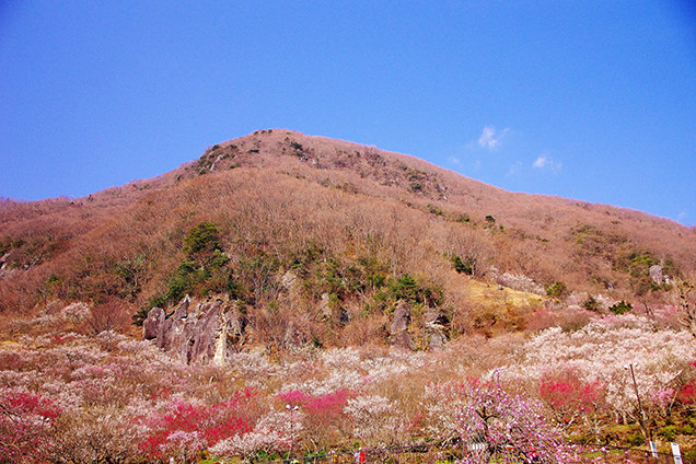 幕山