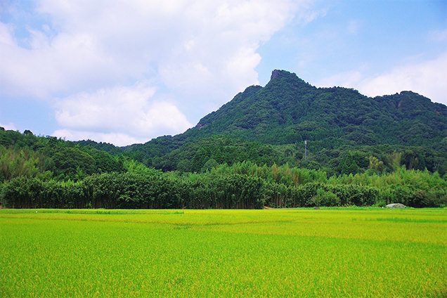 伊予ヶ岳