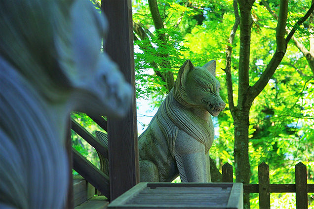 大口真神社の狛オオカミ