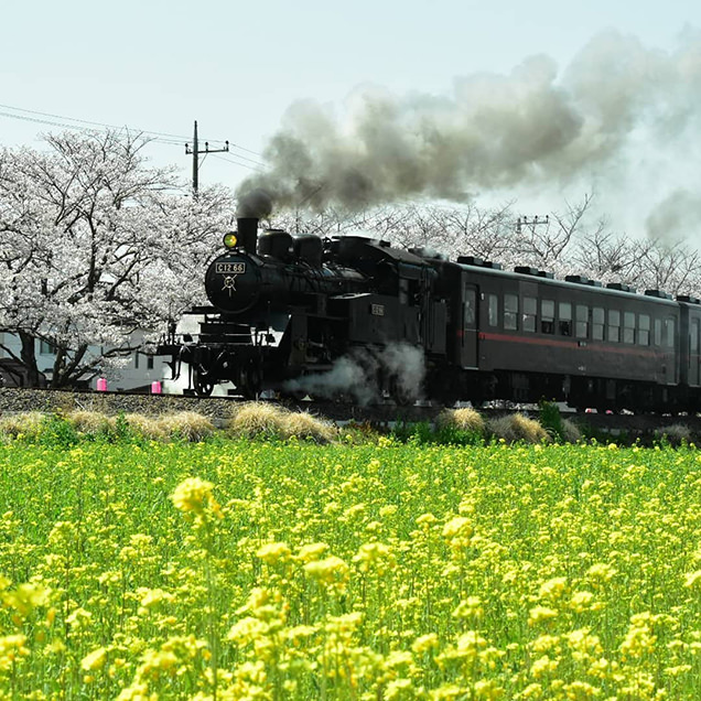 真岡鐵道　SL