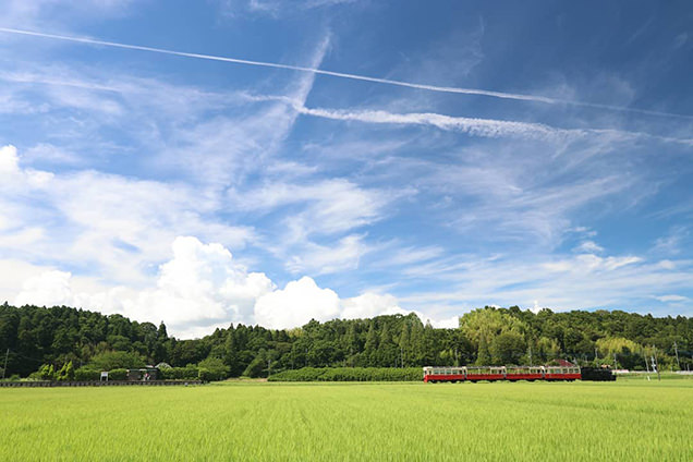 小湊鐵道が走る田園風景