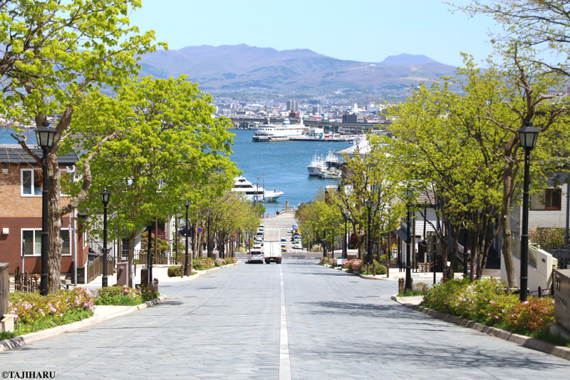 坂の上から海と空を一望することができます