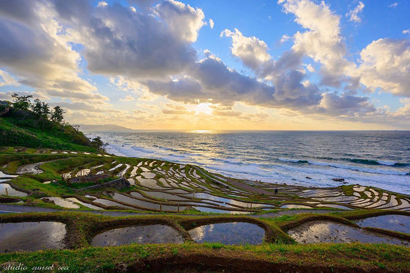 夕海様