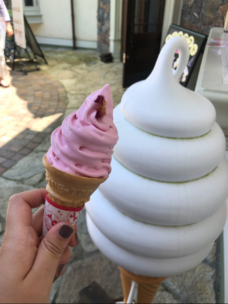 某観光地のローズソフトクリーム（編集部撮影）