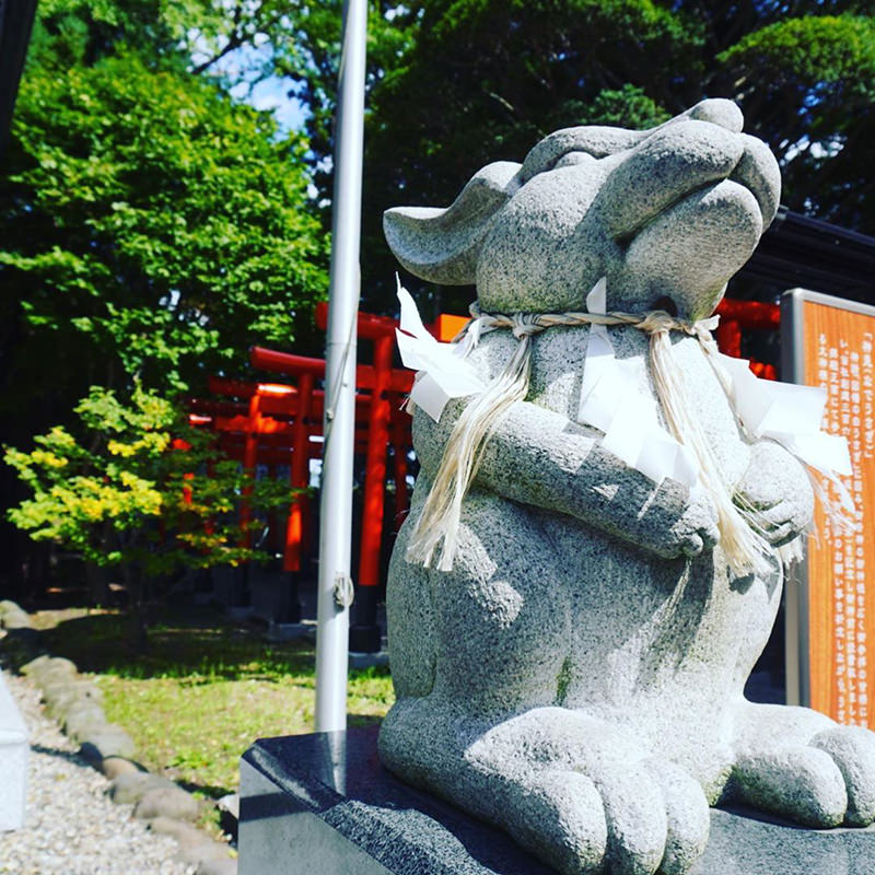 sheep様