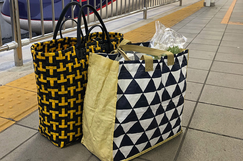 旅行用のメインバッグとサブバッグ